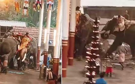 മ​ണ​ക്കു​ള​ങ്ങ​ര ക്ഷേ​ത്ര​ത്തി​ലെ അ​പ​കടം ;ആ​ന​പാ​പ്പാ​ന്മാ​ര​ട​ക്കം ആ​റു​പേ​ര്‍ പ്ര​തി​ക​ള്‍