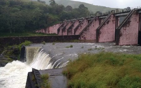 മുല്ലപ്പെരിയാർ കേസ്‌ ; കേരളത്തിനും തമിഴ്‌നാടിനും  സ്വീകാര്യമായ പരിഹാരമുണ്ടാക്കണം : നാലാഴ്‌ചയ്‌ക്കകം റിപ്പോർട്ട്‌ സമർപ്പിക്കാൻ  മേൽനോട്ട സമിതിക്ക്‌ സുപ്രീംകോടതി നിർദേശം