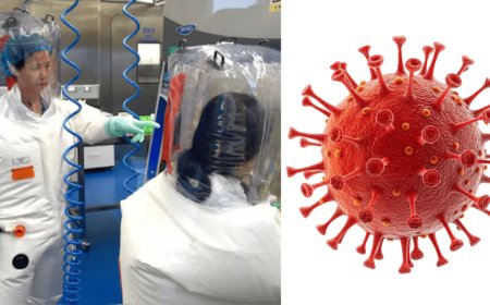 ചൈനയില് പുതിയ കൊറോണ വൈറസ്; കോവിഡുപോലെ മനുഷ്യരെ ബാധിക്കുമെന്ന് കണ്ടെത്തല്