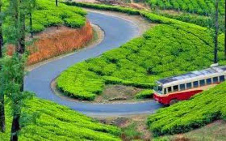 കെ.എസ്.ആര്.ടി.സിയില് മൂന്നാര് കാണാം; നാല് ഉല്ലാസയാത്രാ സര്വീസുകള്