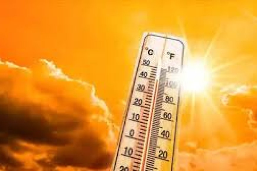 സംസ്ഥാനത്ത് പൊതുവെ ചൂട് വർധിച്ചു വരുന്ന സാഹചര്യത്തിൽ പൊതുജനങ്ങൾക്കായി സംസ്ഥാന ദുരന്ത നിവാരണ അതോറിറ്റി പുറപ്പെടുവിക്കുന്ന ജാഗ്രത നിർദേശങ്ങൾ.