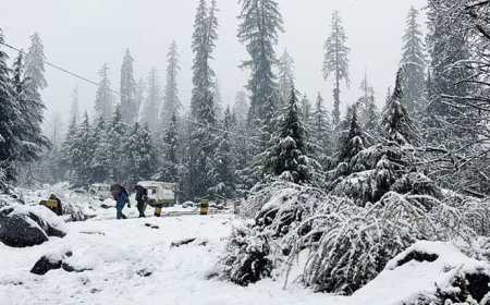 മണ്ണിടിച്ചിൽ ;ചീമേനിയില്‍നിന്നുള്ള എന്‍ജിനീയറിങ് വിദ്യാര്‍ഥികള്‍ ഹിമാചലില്‍ കുടുങ്ങി