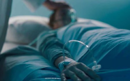 പ്രായമായ ആളുടെ ജനനേന്ദ്രിയം മുറിഞ്ഞനിലയിൽ; നായയുടെ കടിയേറ്റെന്ന് കൂടെയുണ്ടായിരുന്നവര്‍