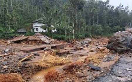 മുണ്ടക്കൈ-ചൂരൽമല പുനരധിവാസം: ടൗൺഷിപ്പിന്റെ നിർമാണപ്രവർത്തനങ്ങൾ ഈ മാസം ആരംഭിക്കുമെന്ന് മന്ത്രി കെ രാജൻ