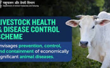കന്നുകാലി ആരോഗ്യ-രോഗ നിയന്ത്രണ പരിപാടി (LHDCP) പരിഷ്കരണത്തിന് കേന്ദ്ര മന്ത്രിസഭായോഗം അംഗീകാരം നൽകി