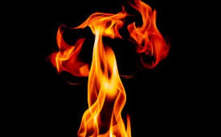 ക​ള​മ​ശേ​രി​യി​ൽ കി​ട​ക്ക നി​ർ​മാ​ണ ഫാ​ക്ട​റി ഗോ​ഡൗ​ണി​ല്‍  വ​ൻ തീ​പി​ടി​ത്തം