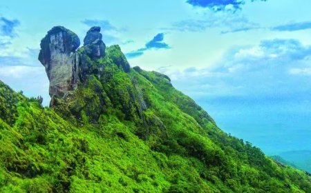 പെരുംതേനീച്ച ആക്രമണം: ഇല്ലിക്കല്കല്ലിന്റെ പിന്ഭാഗത്തുള്ള വ്യൂ പോയിന്റിലേക്ക് സഞ്ചാരികളുടെ പ്രവേശനം നിരോധിച്ചു