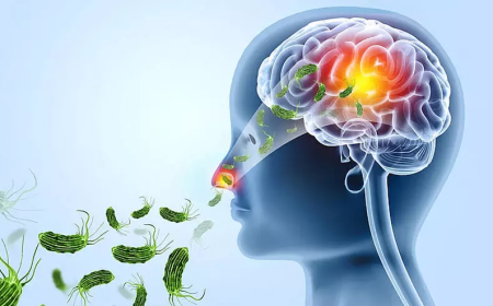 കൊച്ചിയിൽ രണ്ട് സ്കൂൾ വിദ്യാർഥികൾക്ക് മസ്തിഷ്ക ജ്വരം