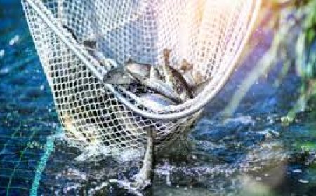 പ്രധാനമന്ത്രി മത്സ്യ സമ്പദ്യോജന: അപേക്ഷ ക്ഷണിച്ചു