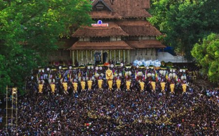 തൃശൂർ പൂരം മെയ് ആറിന്: സാമ്പിൾ വെടിക്കെട്ട് നാലിന്