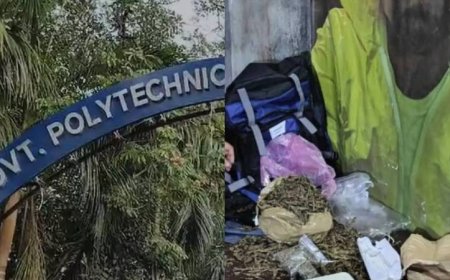 കളമശേരി ഗവ. പോളിടെക്നിക് ഹോസ്റ്റലിലെ കഞ്ചാവ് വേട്ട; പ്രധാന കണ്ണി കസ്റ്റഡിയിൽ