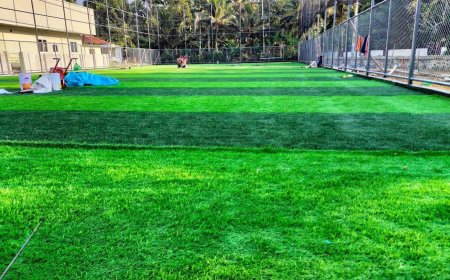 ഉദയനാപുരത്ത് കളിക്കളമായി; അക്കരപ്പാടം സ്‌കൂളിൽ ടർഫ് പൂർത്തിയാകുന്നു