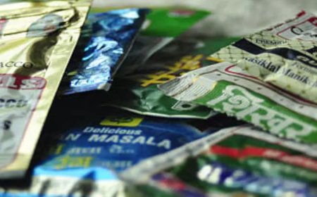 ഒറ്റപ്പാലത്ത്‌ നിരോധിത പുകയില ഉല്‍പ്പന്നം പിടികൂടി