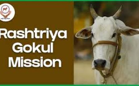 വര്‍ദ്ധിപ്പിച്ച വിഹിതത്തോടെ പരിഷ്‌ക്കരിച്ച രാഷ്ട്രീയ ഗോകുല്‍ മിഷന്‍ 2024-25, 2025-26 വര്‍ഷങ്ങളിലും നടപ്പാക്കുന്നതിന് കേന്ദ്ര മന്ത്രിസഭയുടെ അംഗീകാരം