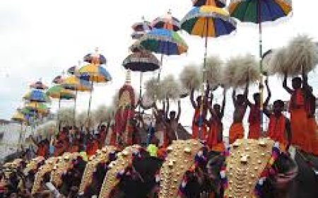 തൃശ്ശൂർ പൂരം: ഡ്രോൺ നിരീക്ഷണം ശക്തമാക്കും, ക്രമീകരണങ്ങൾ സജ്ജം