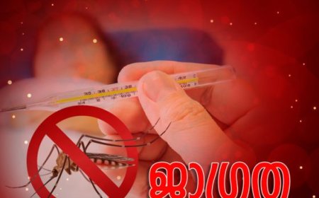 സംസ്ഥാനത്ത് ഡെങ്കിപ്പനിയും എലിപ്പനിയും വർധിക്കാൻ സാധ്യത; ജാഗ്രത പാലിക്കണം