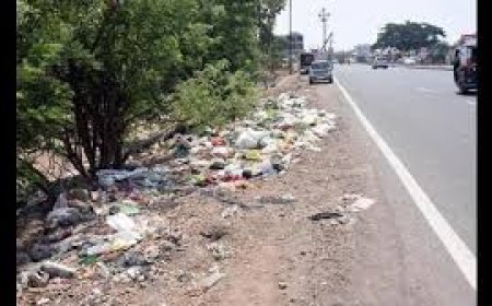 പൊതുസ്ഥലങ്ങളിൽ മാലിന്യങ്ങൾ വലിച്ചെറിയൽ: 30.67 ലക്ഷം രൂപ പിഴചുമത്തി