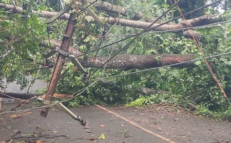 കാറ്റും മഴയും: വെല്ലുവിളികളെ മറികടക്കാൻ 24 മണിക്കൂറും കർമനിരതരായി കെ.എസ്.ഇ.ബി.  ജില്ലയിൽ കെ.എസ്.ഇ.ബിക്ക് 7.9 കോടി രൂപയുടെ നഷ്ടം