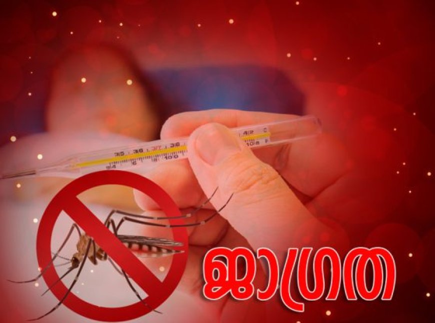 സംസ്ഥാനത്ത് ഡെങ്കിപ്പനിയും എലിപ്പനിയും വർധിക്കാൻ സാധ്യത; ജാഗ്രത പാലിക്കണം