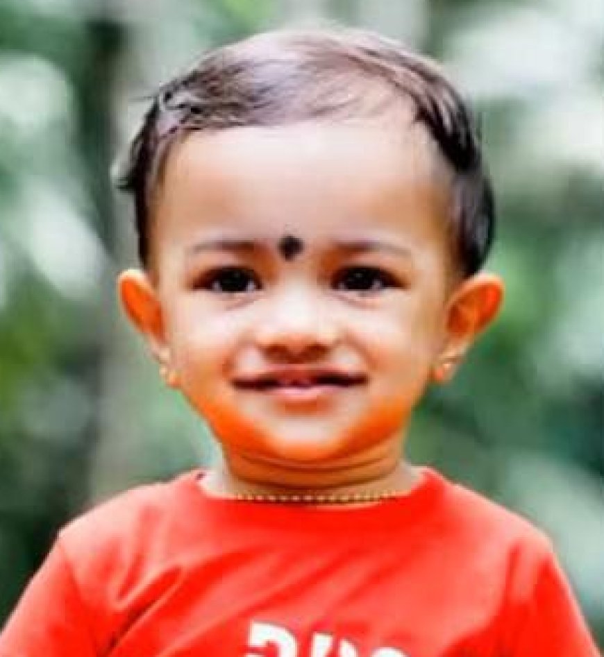 പാലക്കാട് അമ്മ മകനെയുമെടുത്ത് കിണറ്റിൽ ചാടി; രണ്ടര വയസുകാരൻ ചികിത്സയിലിരിക്കെ മരിച്ചു