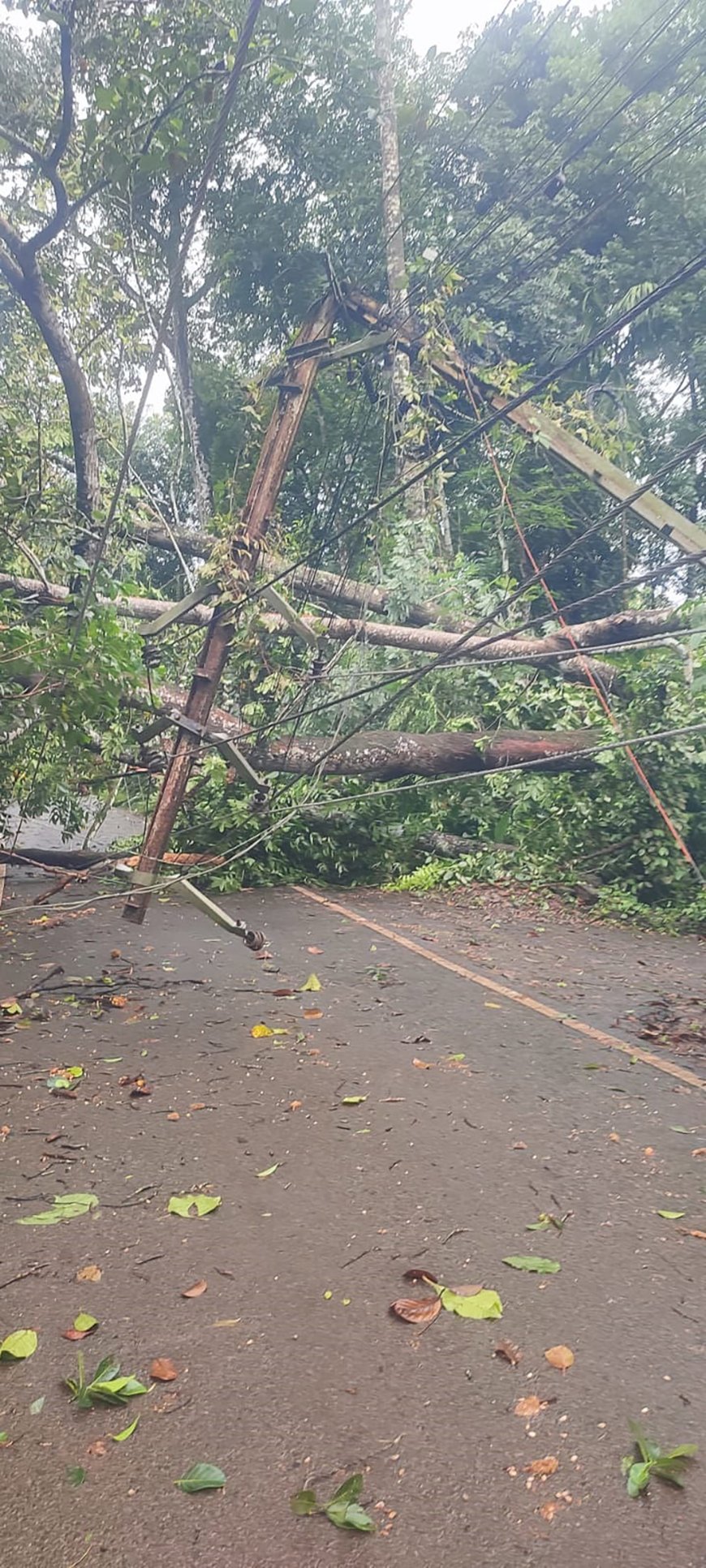 കാറ്റും മഴയും: വെല്ലുവിളികളെ മറികടക്കാൻ 24 മണിക്കൂറും കർമനിരതരായി കെ.എസ്.ഇ.ബി. ജില്ലയിൽ കെ.എസ്.ഇ.ബിക്ക് 7.9 കോടി രൂപയുടെ നഷ്ടം