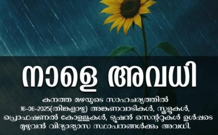 പത്തനംതിട്ട ജില്ലയിലും നാളെ വിദ്യാഭ്യാസ സ്ഥാപനങ്ങൾക്ക്  അവധി