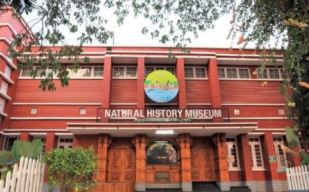 നാച്ചുറൽ ഹിസ്റ്ററി മ്യൂസിയത്തിൽ ഡിജിറ്റൽ ഗൈഡഡ് ടൂർ സംവിധാനം സജ്ജമായി