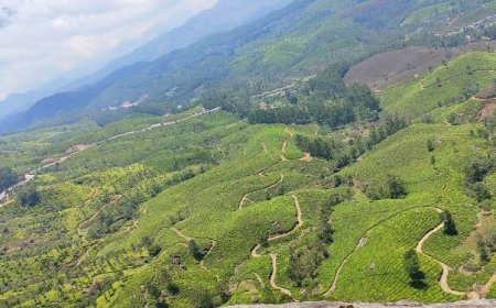 ഉത്തരവാദിത്വ ടൂറിസം ഡെസ്റ്റിനേഷനാകാനൊരുങ്ങി മൂന്നാര്: പ്രഖ്യാപനം ഡിസംബറിൽ