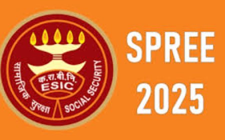 തൊഴിലാളികൾക്കും തൊഴിൽ-ഉടമകൾക്കും സാമൂഹ്യ സുരക്ഷാ പ്രോത്സാഹന പദ്ധതിയുമായി തൊഴിൽ മന്ത്രാലയം