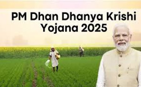 പ്രധാനമന്ത്രി ധൻ-ധാന്യ കൃഷി യോജനയ്ക്ക് കേന്ദ്ര മന്ത്രിസഭ അംഗീകാരം നൽകി 100 ജില്ലകളിലെ കൃഷിയിലും അനുബന്ധ മേഖലകളിലെയും വികസനം വേഗത്തിലാക്കും.