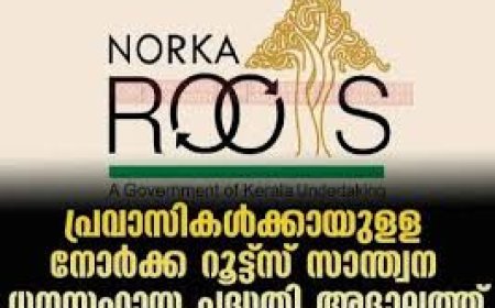 പ്രവാസികൾക്കായി നോർക്ക റൂട്ട്സ് സാന്ത്വന അദാലത്ത് ആഗസ്റ്റ് 2ന്