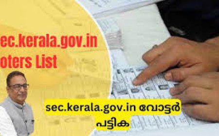 തദ്ദേശ തിരഞ്ഞെടുപ്പ്: കരട് വോട്ടർപട്ടിക നാളെ  പ്രസിദ്ധീകരിക്കും