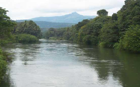 കാറ്റും മഴയും:കോട്ടയം ജില്ലയിൽ 172 വീടുകൾക്ക് ഭാഗികനാശം