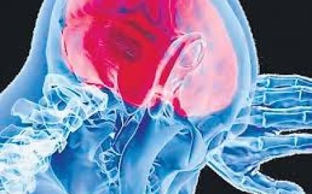 അമീബിക് മസ്തിഷ്‌കജ്വരത്തിനെതിരേ ജില്ലയിലും ജാഗ്രത വേണം: ജില്ലാ മെഡിക്കൽ ഓഫീസർ