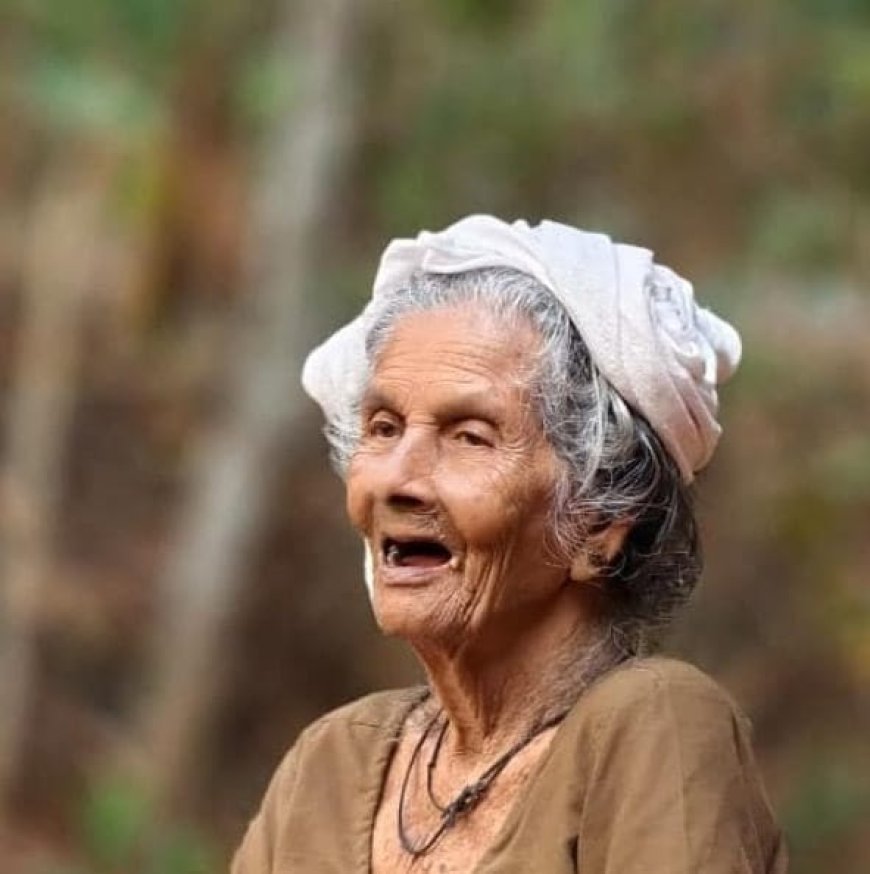 അമ്മിണി അമ്മക്ക് പാളാക്കരയുടെ പ്രണാമം
