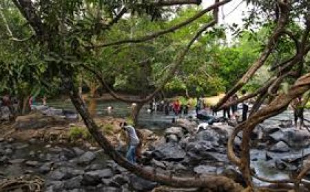 വയനാട് ജില്ലയിലെ കുറുവാ ദ്വീപിലേക്കുള്ള പ്രവേശന നിയന്ത്രണം പിൻവലിച്ചു