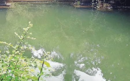അമീബിക് മസ്തിഷ്കജ്വരത്തിന് തടയിടാൻ ജലപരിശോധനയുമായി സിഡബ്ല്യുആർഡിഎമ്മും ജല അതോറിറ്റിയും