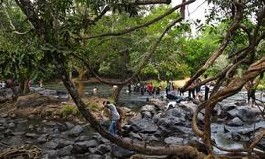 വയനാട് ജില്ലയിലെ കുറുവാ ദ്വീപിലേക്കുള്ള പ്രവേശന നിയന്ത്രണം പിൻവലിച്ചു