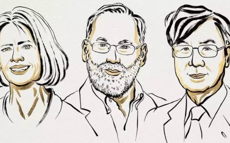 രോഗപ്രതിരോധത്തിന് നിർണായക കണ്ടെത്തൽ; വൈദ്യശാസ്ത്രത്തിനുള്ള നൊബേൽ മൂന്ന് പേർക്ക്