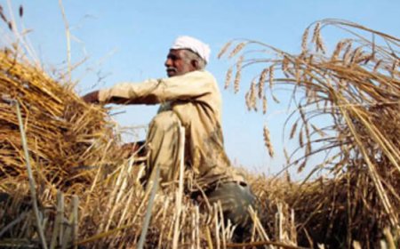 കുടുംബശ്രീയിൽ ഇനി പുരുഷന്മാർക്കും അംഗത്വം; നിയമാവലിയിൽ ഭേദഗതി വരുത്തി സംസ്ഥാന കുടുംബശ്രീ മിഷൻ