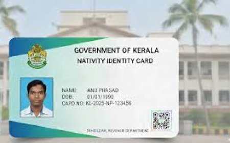 സർക്കാർ  സേവനങ്ങൾക്ക് സ്ഥിരം നേറ്റിവിറ്റി കാർഡ്