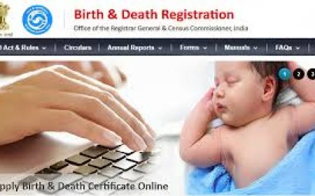 ജനന മരണ രജിസ്‌ട്രേഷന്‍: അക്ഷയ ജീവനക്കാർക്ക് ഉൾപ്പടെ പരിശീലനം  നല്‍കും