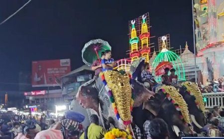 എരുമേലിക്ക് ആഘോഷരാവായി ചന്ദനക്കുട മഹോത്സവം ,അഭൂതപൂർവ്വമായ ജനത്തിരക്ക് ,ആഹ്ലാദത്തിലാറാടി ജനം