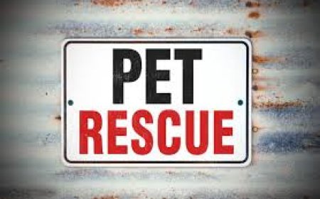 കോട്ടത്തറയില്‍  ഒരുങ്ങുന്ന രാജ്യത്തെ ആദ്യ വളര്‍ത്തുമൃഗ ദുരിതാശ്വാസ കേന്ദ്രത്തിന്റെ ഡി.പി.ആര്‍ പ്രകാശനം ചെയ്തു