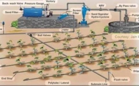 ഓരോ തുള്ളിയിലും സമൃദ്ധി: സൂക്ഷ്മജലസേചനത്തിലൂടെ കാർഷിക വിപ്ലവത്തിനൊരുങ്ങി കേരളം