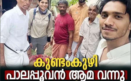 വംശനാശഭീഷണി നേരിടുന്ന ഭീമന്‍ പാലപ്പൂവന്‍ ആമയുടെ മുട്ടകള്‍ പയസ്വിനി പുഴക്കരയില്‍
