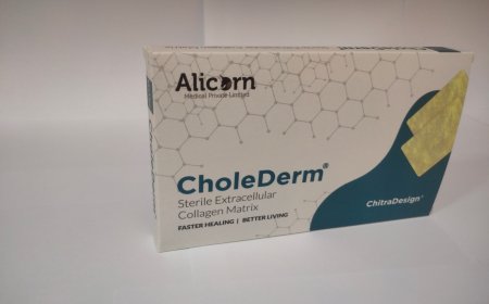 മുറിവ് ഉണക്കുന്നതിന് മൃഗ ജന്യ ടിഷ്യു ഗ്രാഫ്റ്റ് സ്കാഫോൾഡ് വികസിപ്പിച്ച് ശ്രീ ചിത്ര
