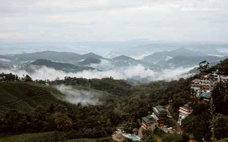 മൂന്നാര്‍ താപനില ഒരു ഡിഗ്രി സെൽഷ്യസിലേക്ക് താഴ്ന്നു, വീണ്ടും അതിശൈത്യത്തിലേക്ക്