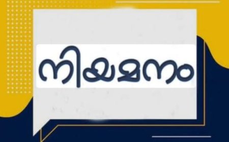 തദ്ദേശ സ്വയംഭരണ വകുപ്പിൽ പ്ലാനിംഗ് അസിസ്റ്റന്റ് (ജിഐഎസ്) നിയമനം