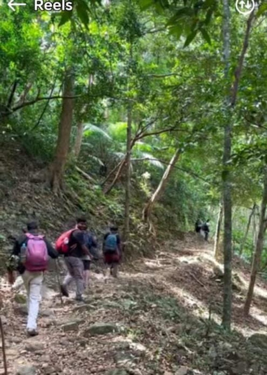 അഗസ്ത്യാർകൂടം ട്രെക്കിങ് :ജനുവരി 14 മുതൽ ഫെബ്രുവരി 11 വരെ